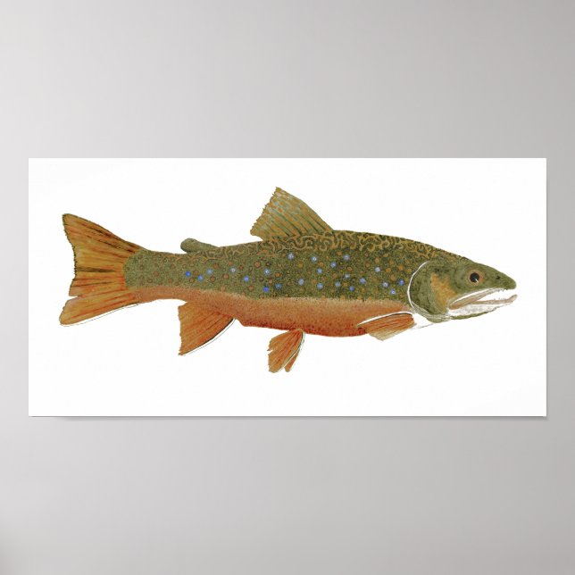 Póster Brook Trout (Frente)