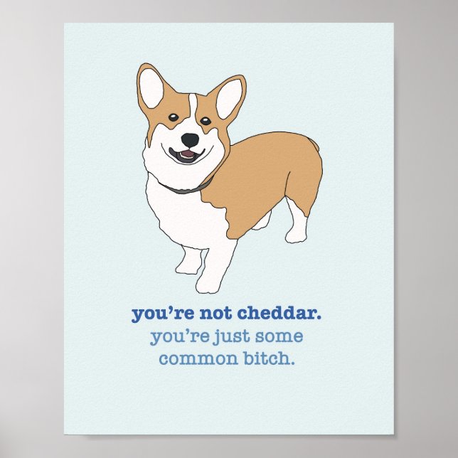 Póster Brooklyn 99 Cheddar (Frente)