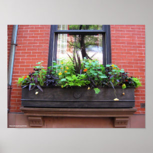 Póster Brooklyn Window