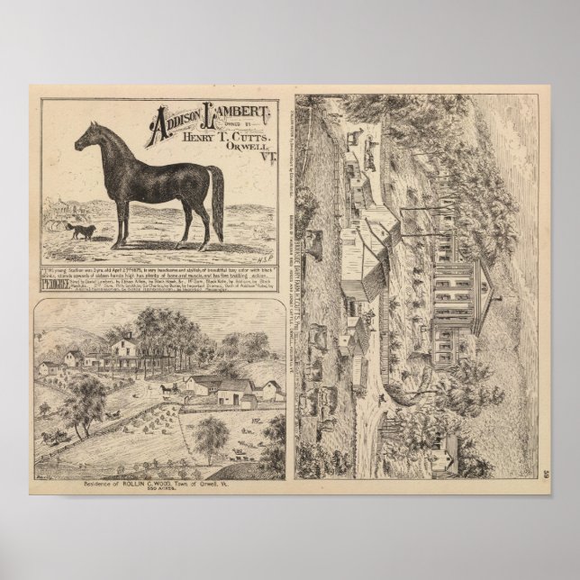 Póster Brookside Dairy Farm (Frente)