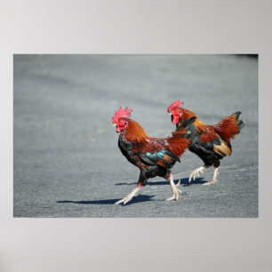 Póster "Bros en un paseo "