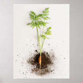 Póster Brote Zanahoria Minimalista Foto Botánica