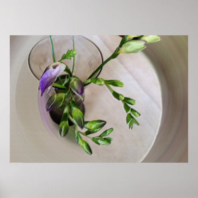 Póster brotes morados de freesia (Frente)