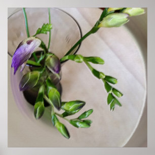 Póster brotes morados de freesia