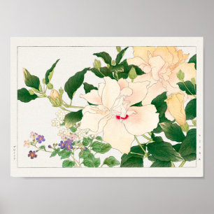 Póster Browallia, Hibiscus, por Tanigami Konan