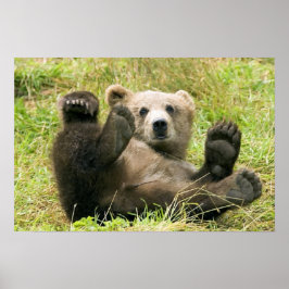 Póster Brown_Bear_Kodiak_Cub_NWR