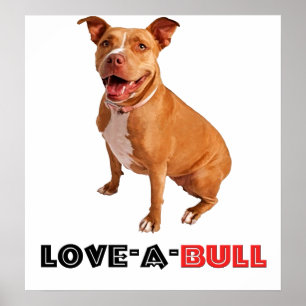 Póster Brown lindo Pittie Amor-uno-Bull