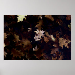 PÓSTER BROWN MAPLE LEAVES