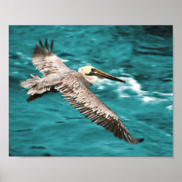 PÓSTER BROWN PELICAN WIND RIDER