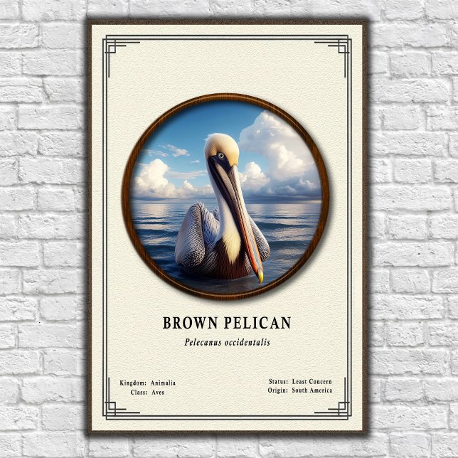 Póster Brown Pelican Zoology Series Poster (Subido por el creador)