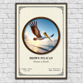 Póster Brown Pelican Zoology Series Poster