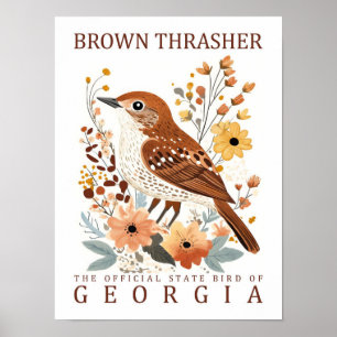 Póster Brown Thrasher Bird of Georgia USA Travel