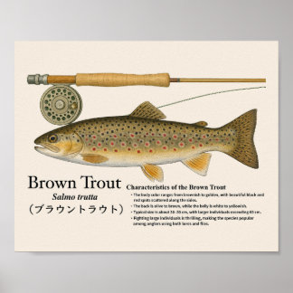 Póster Brown Trout – English Art Print