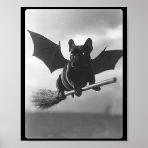 Póster Bruja de Bulldog Británico Escoba Alas de Murciéla