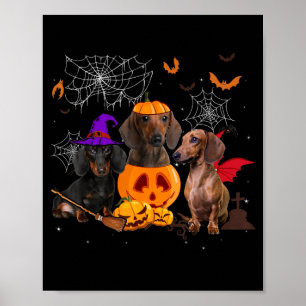 Póster Bruja de calabaza divertida Dachshund perro a jueg