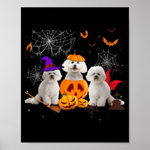 Póster Bruja de calabaza divertida perro Bichon Frise Hal