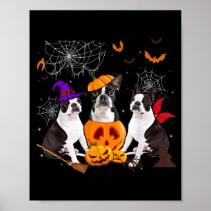 Póster Bruja de calabaza divertida perro Boston Terrier H