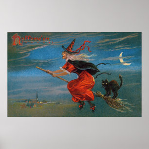 Póster Bruja de Halloween volando gato negro por la noche