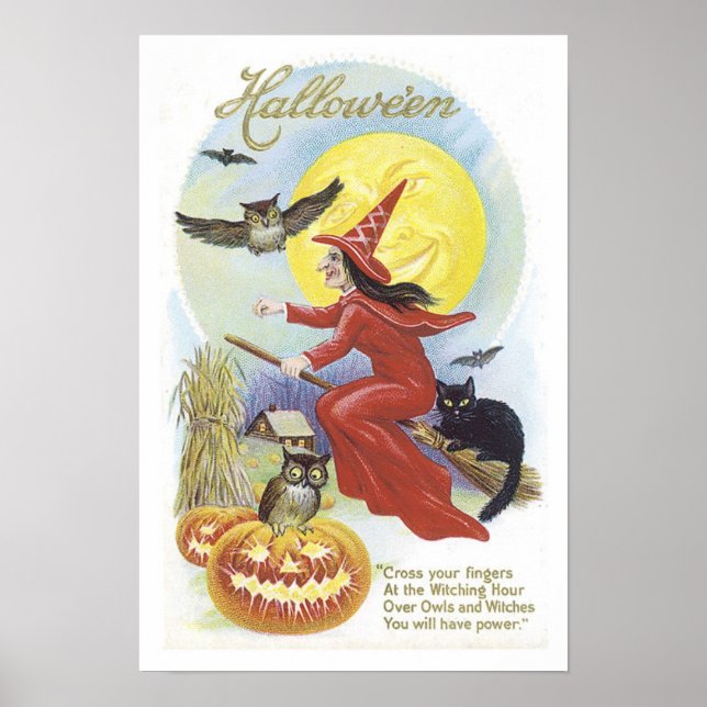 Póster Bruja voladora, murciélagos, gato, luna de búho (Frente)