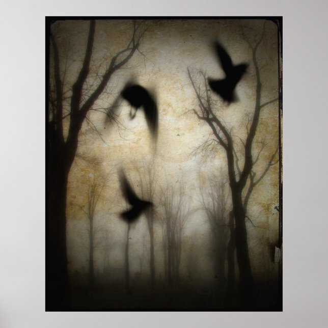 Póster Bruma (Frente)