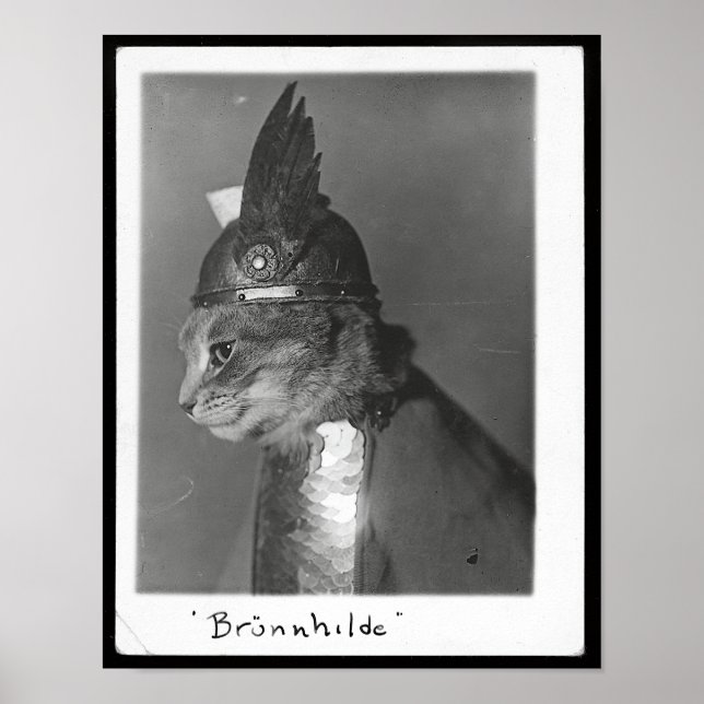 Póster Brunhild Brunhilda Brynhild Brünhilde Cat (Frente)