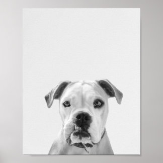 Póster Bruno el Bulldog americano