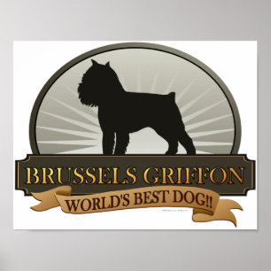 Póster Brussels Griffon