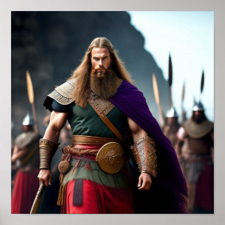 Póster Brynjar el Viking