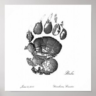 Póster Bubu Pawprint