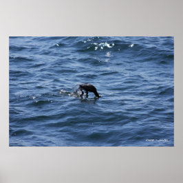 Póster Buceando bajo