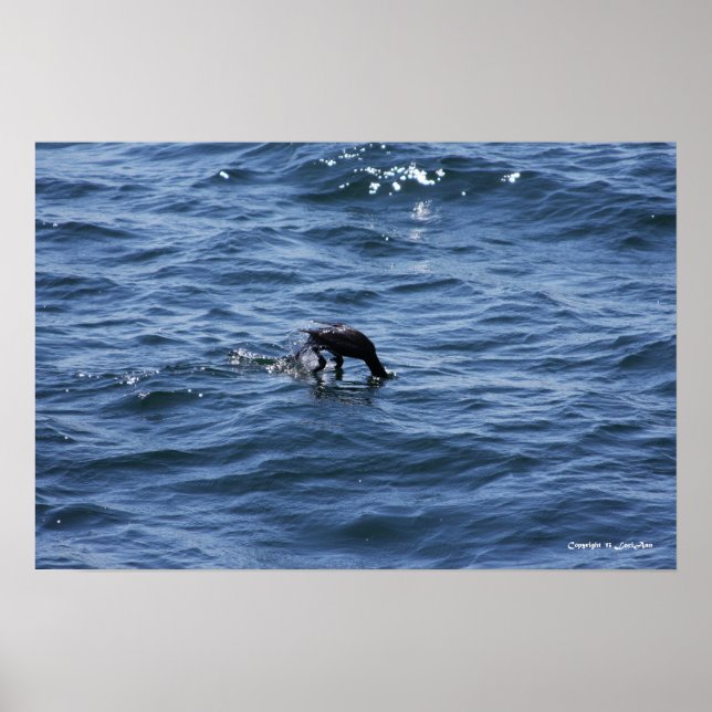 Póster Buceando bajo (Frente)