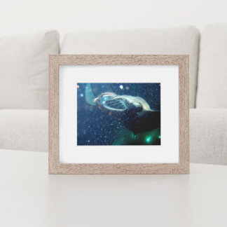 Póster Bucear con los Manta Rays - La Isla Grande