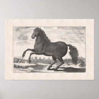 Póster Bucéfalo, Alejandro el caballo favorito del Grande