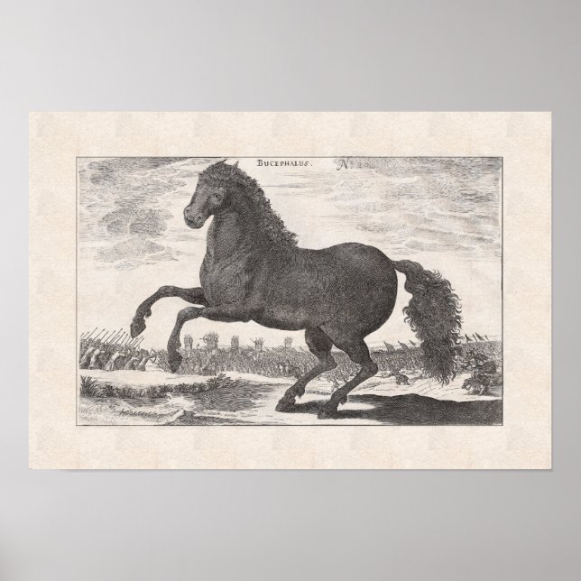 Póster Bucéfalo, Alejandro el caballo favorito del Grande (Frente)