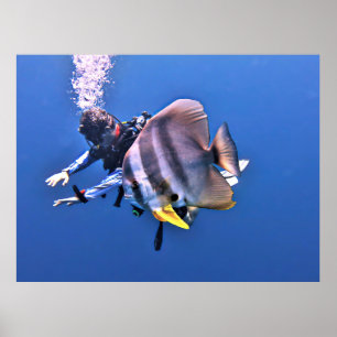 Póster Buceo y peces