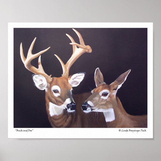 Póster Buck and Doe Deer (Frente)