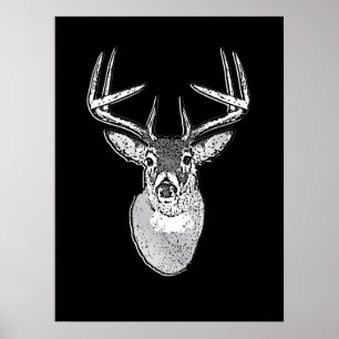 Póster Buck on Bold Black White Tail Deer