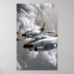 Póster Buckeyes T-2