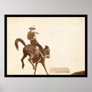 Póster Bucking Bronco SD 1888