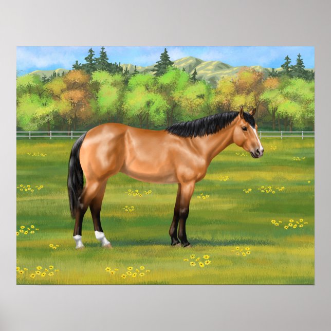 Póster Buckskin Dun Quarter Horse (Frente)