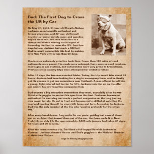 Póster Bud, el primer perro en cruzar EE. UU. en auto