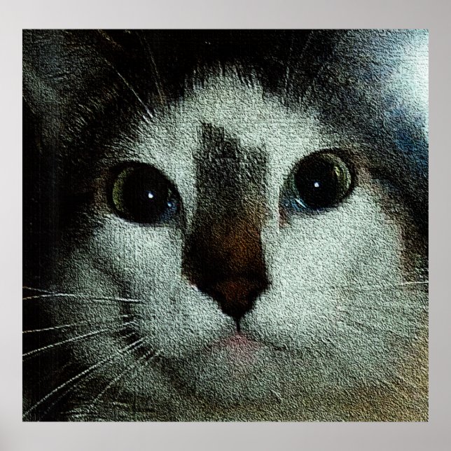 Póster Bud Serio (Frente)