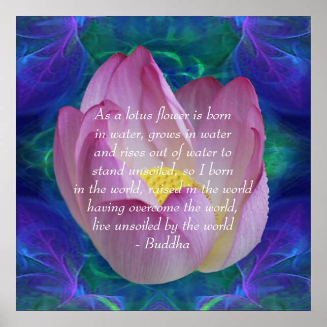 Póster Buddha quote Lotus flower (Frente)