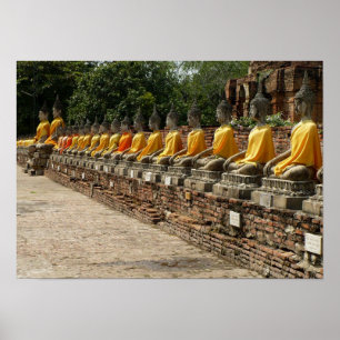 Póster Buddhas