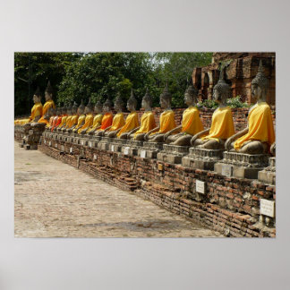 Póster Buddhas