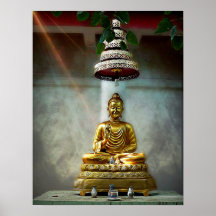 Buddha's Shining Light
