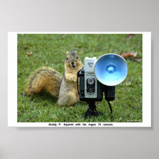 PÓSTER BUDDY P. SQUIRREL POSTER