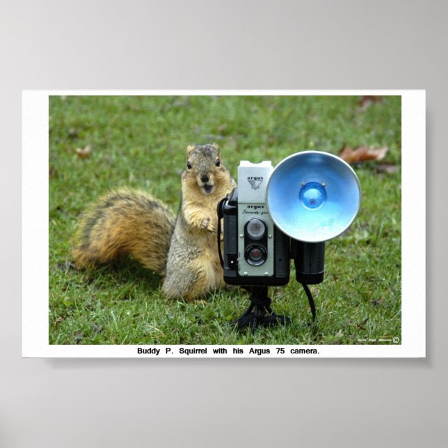 PÓSTER BUDDY P. SQUIRREL POSTER (Frente)