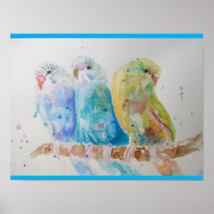 Póster Budgies Aqua Verde azulado pájaro de pintura de co