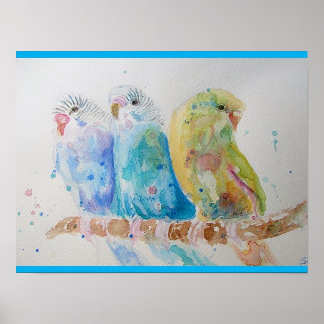 Póster Budgies Aqua Verde azulado pájaro de pintura de co (Frente)